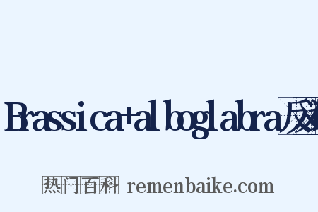 Brassica+alboglabra反义词是什么意思的图片
